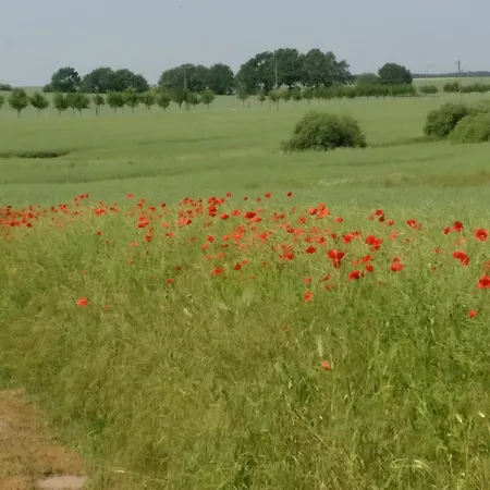 Kleine Auszeit * Reimershagen