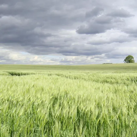 Kleine Auszeit * Reimershagen