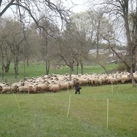 Kleine Auszeit Lejlighed *